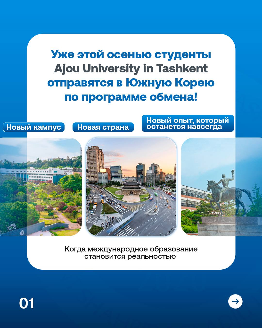 Koreyada o‘qish endi shunchaki orzu emas.