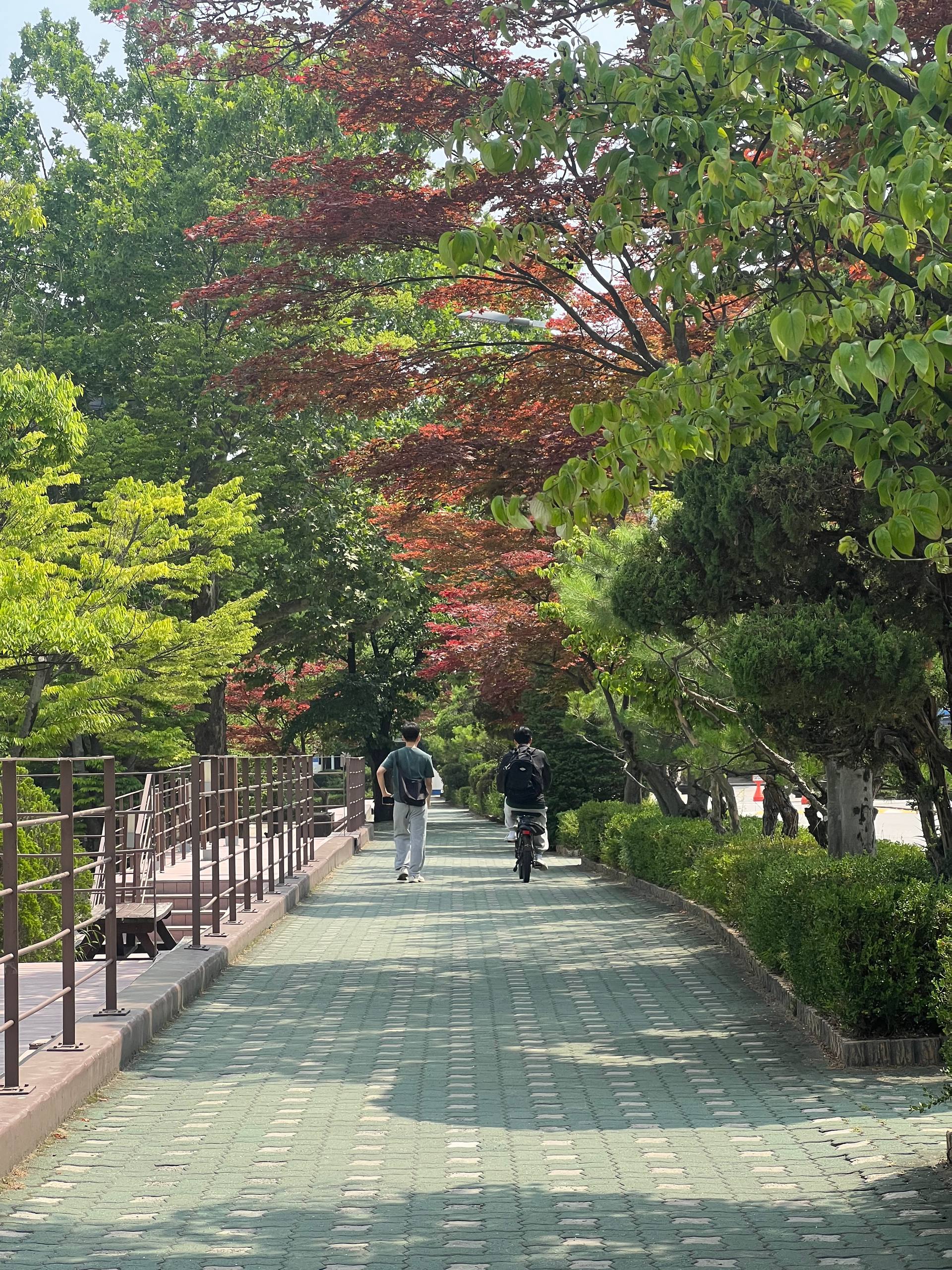 Ajou International Summer School 2026