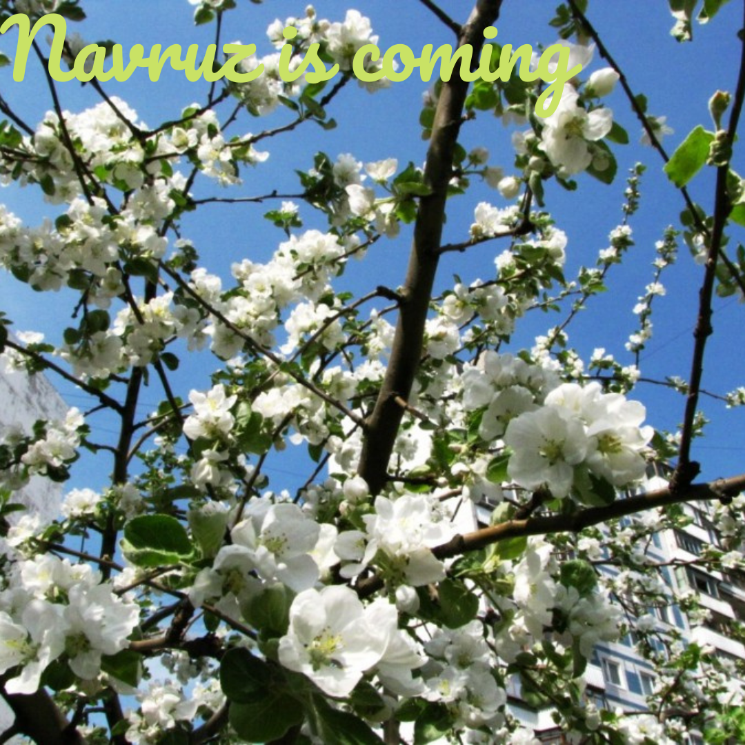 Blog Details